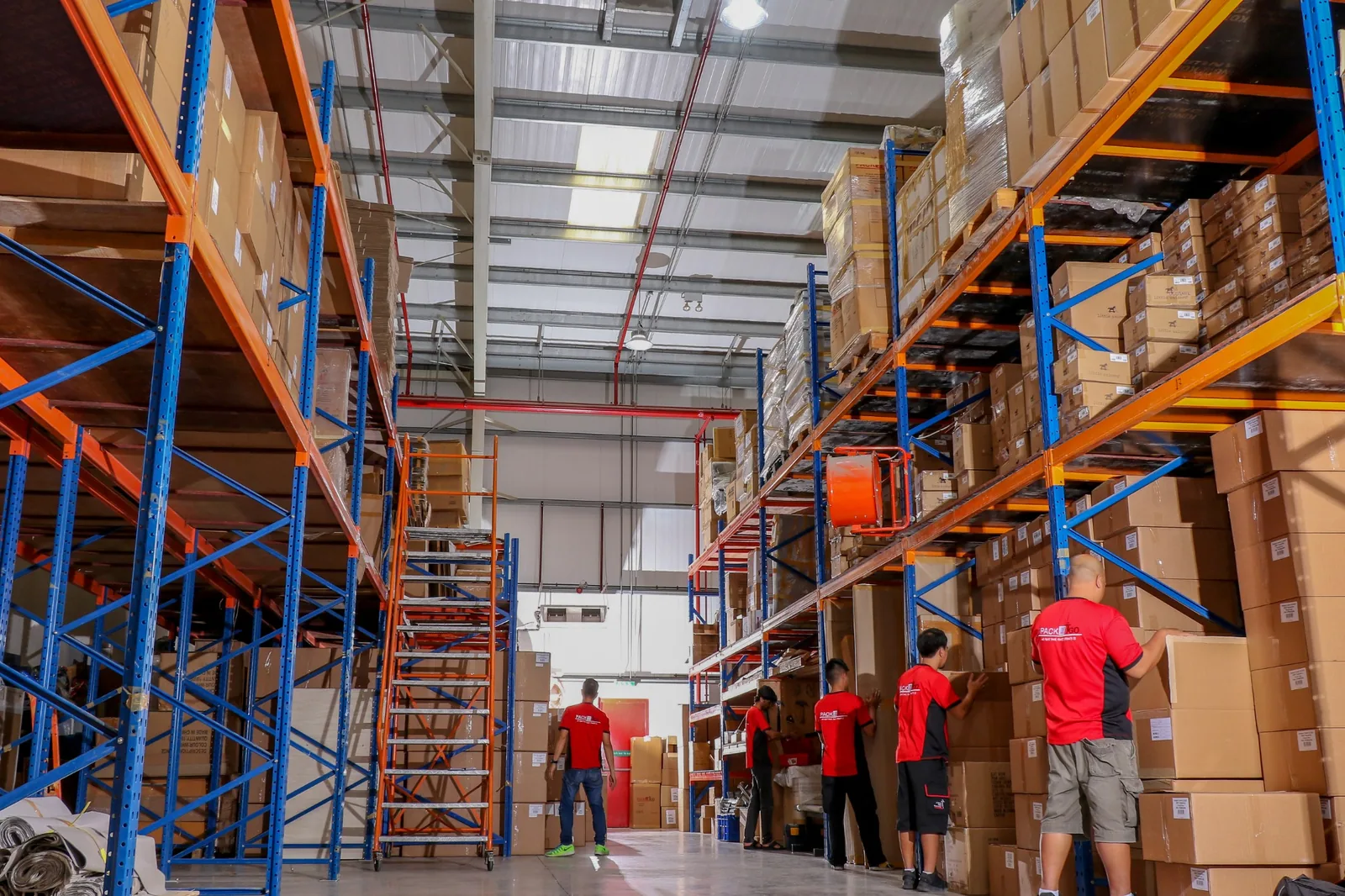 Pack2Go warehouse team